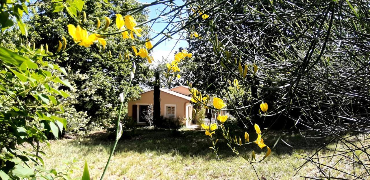 Les Lilas Des Chenes Piolenc Bagian luar foto