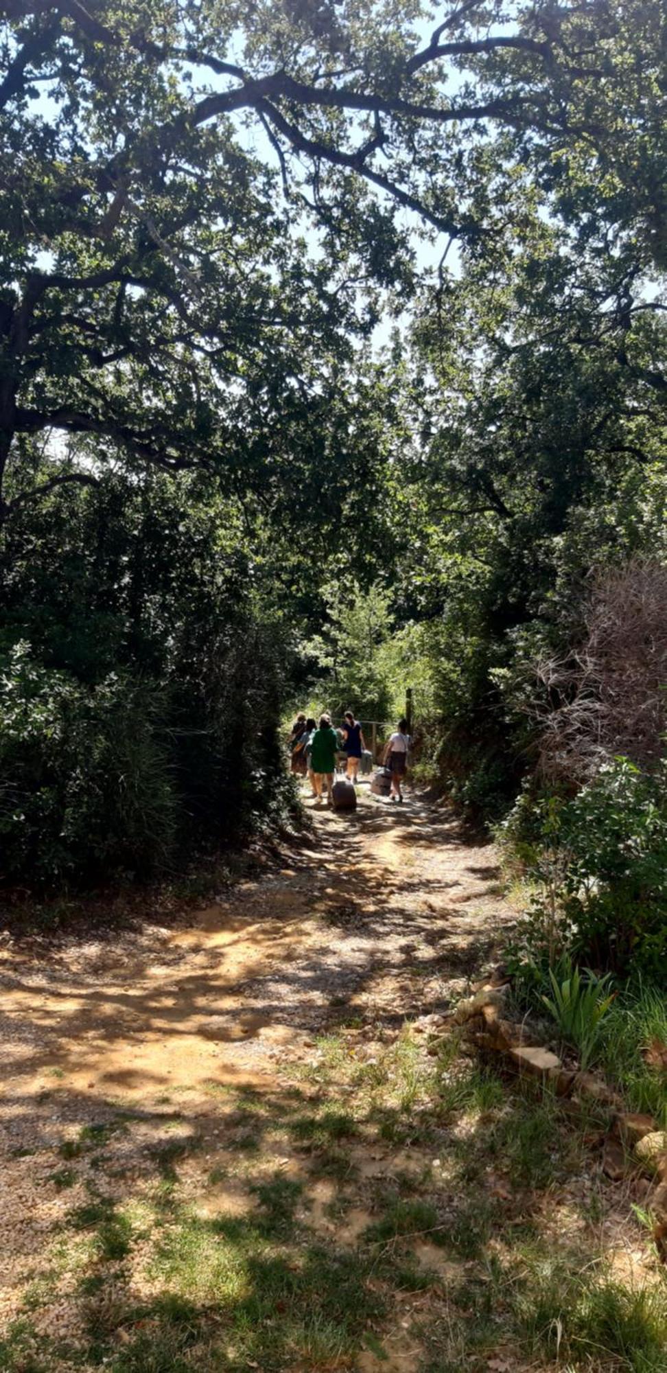 Les Lilas Des Chenes Piolenc Bagian luar foto