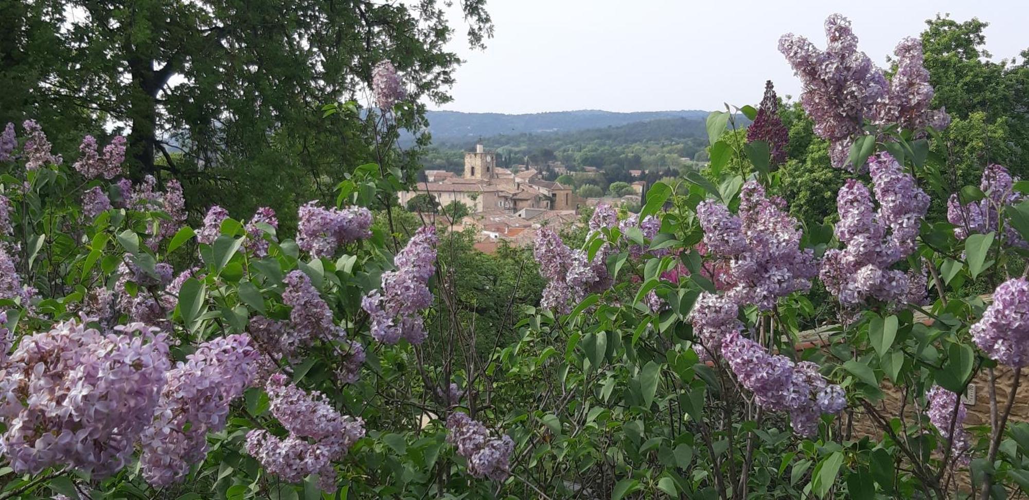 Les Lilas Des Chenes Piolenc Bagian luar foto
